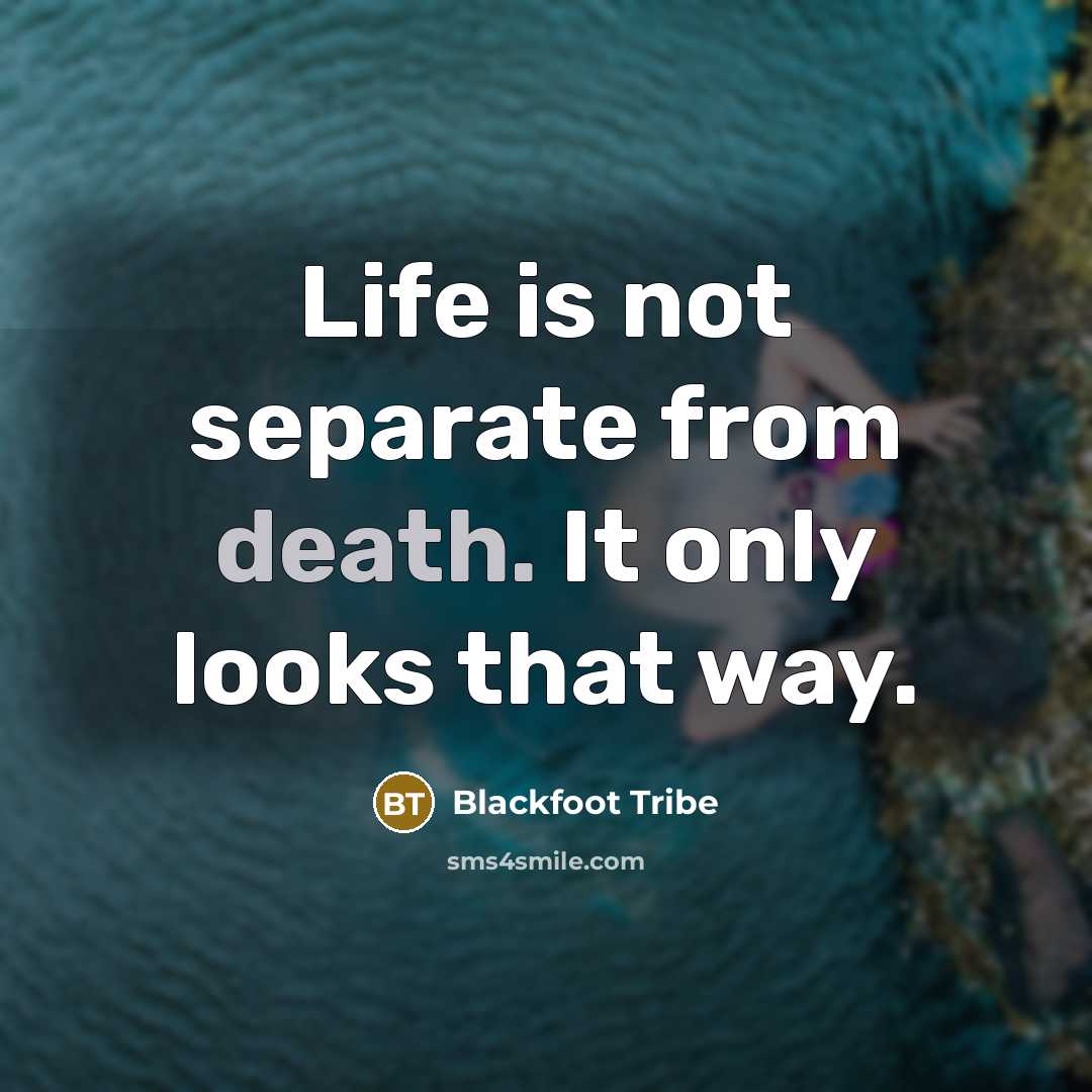 “Life is not separate from death. It only looks that way.” quote by Blackfoot Tribe