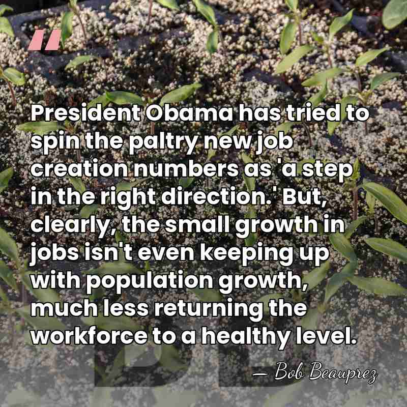 President Obama has tried to spin the paltry new job creation numbers&hellip; - Bob Beauprez