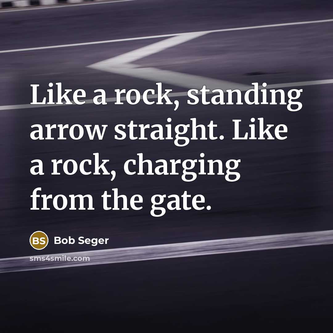 “Like a rock, standing arrow straight. Like a rock, charging…” quote by Bob Seger
