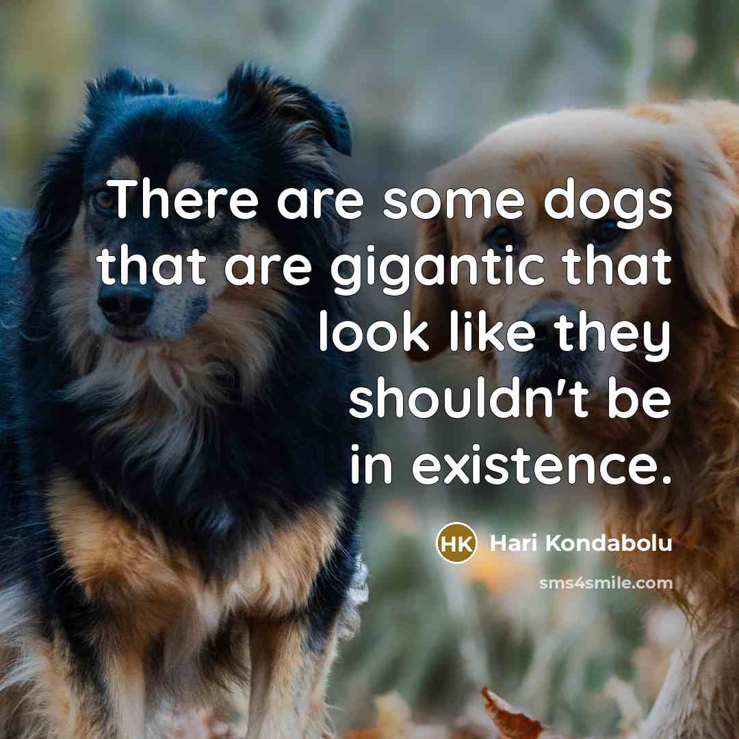 “There are some dogs that are gigantic that look like…” quote by Hari Kondabolu