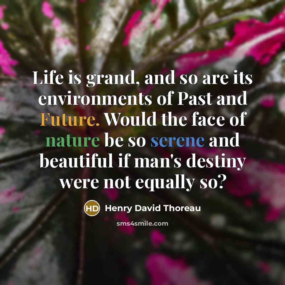“Life is grand, and so are its environments of Past…” quote by Henry David Thoreau