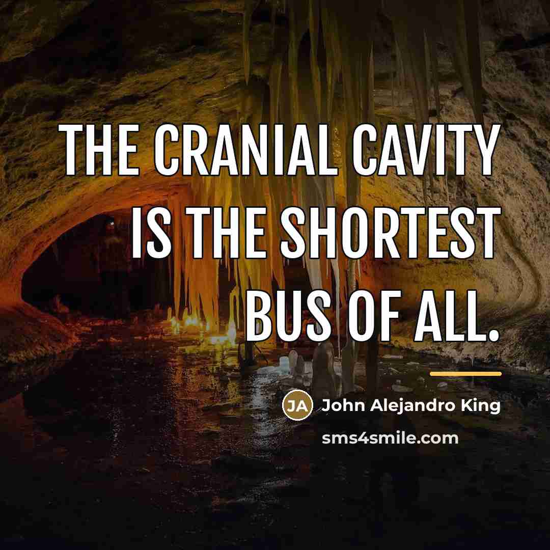 “The cranial cavity is the shortest bus of all.…” quote by John Alejandro King
