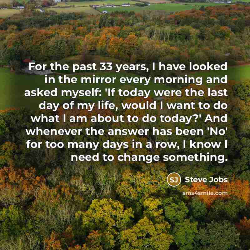 “For the past 33 years, I have looked in the…” quote by Steve Jobs
