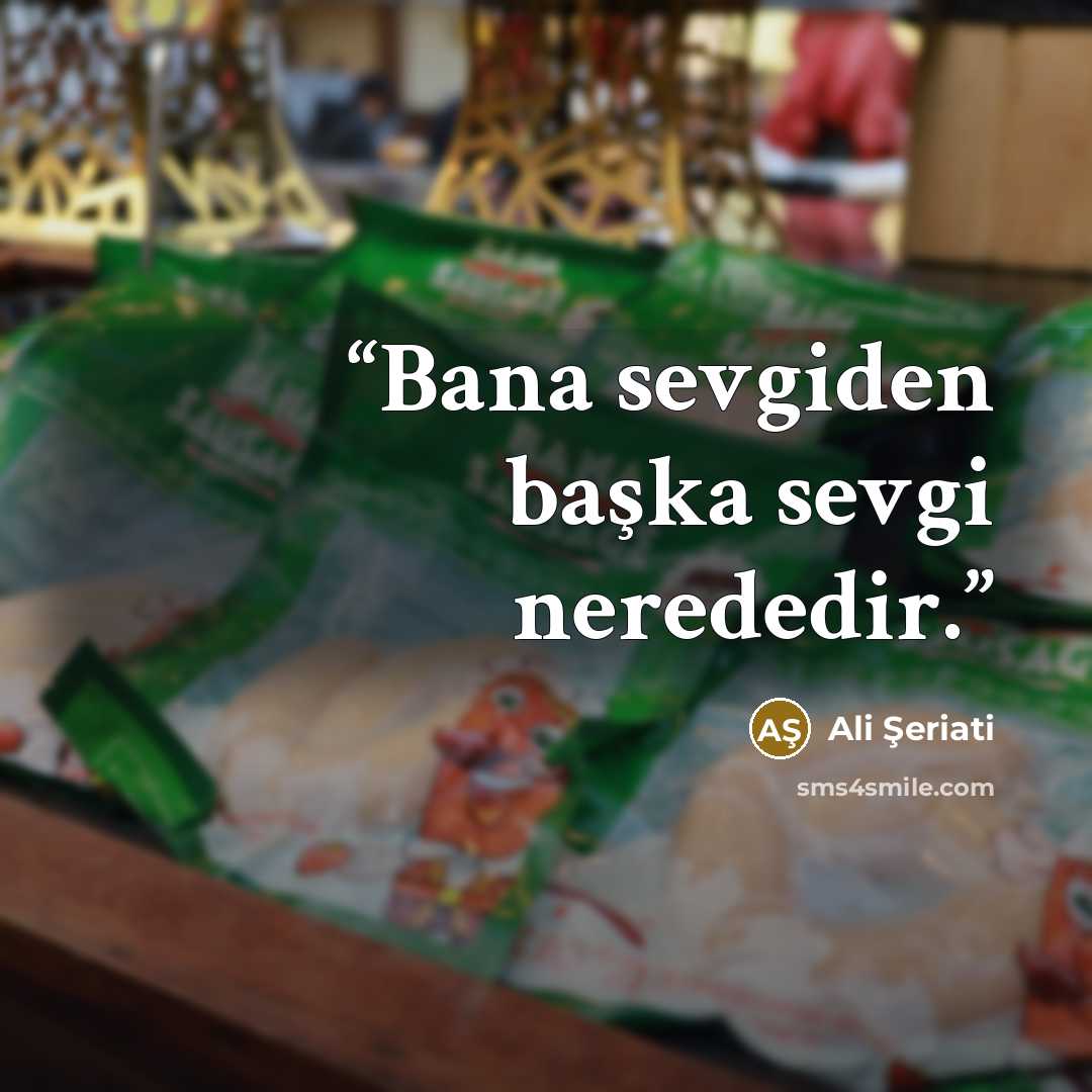 “Bana sevgiden başka sevgi nerededir.” quote by Ali Şeriati