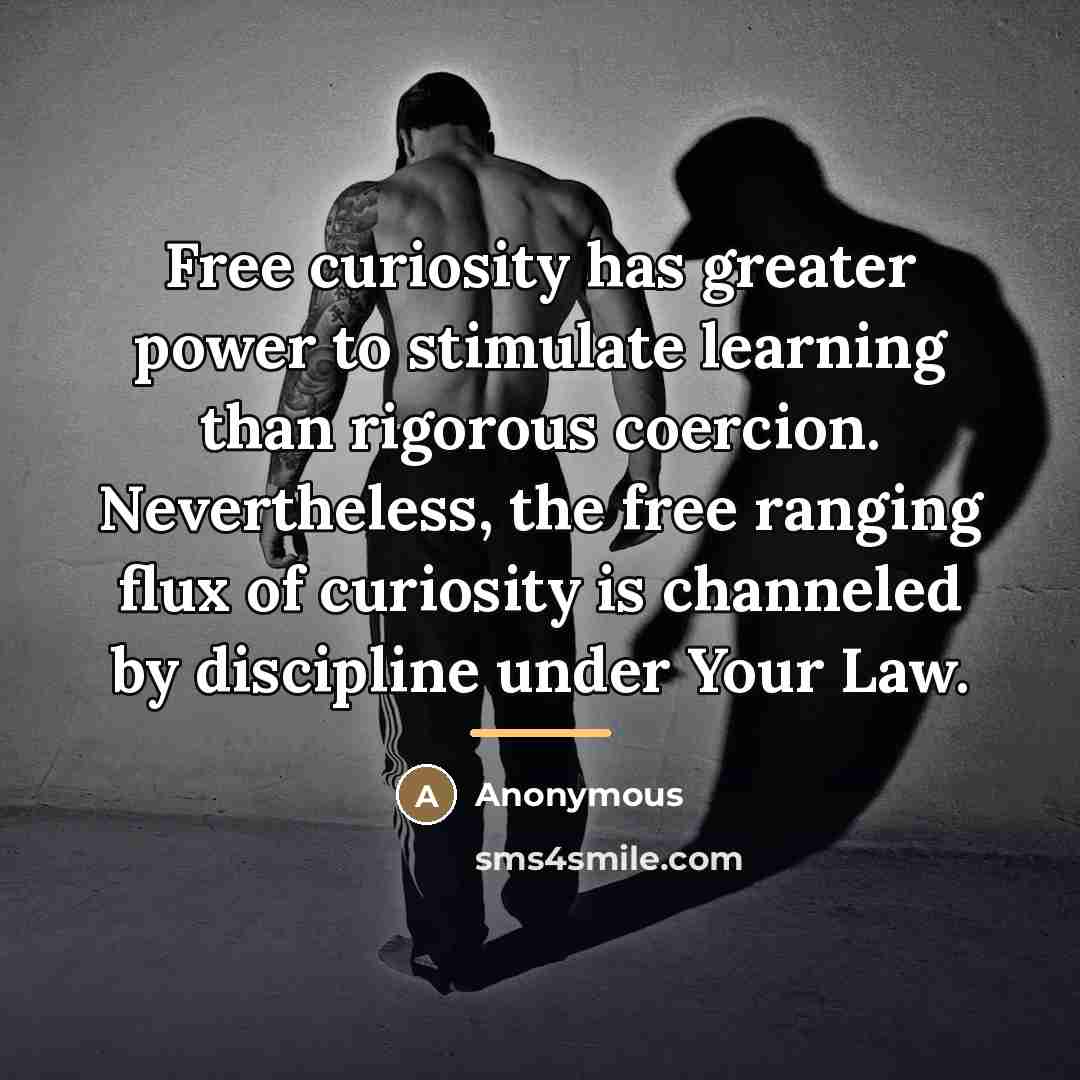 “Free curiosity has greater power to stimulate learning than rigorous…” quote by Anonymous