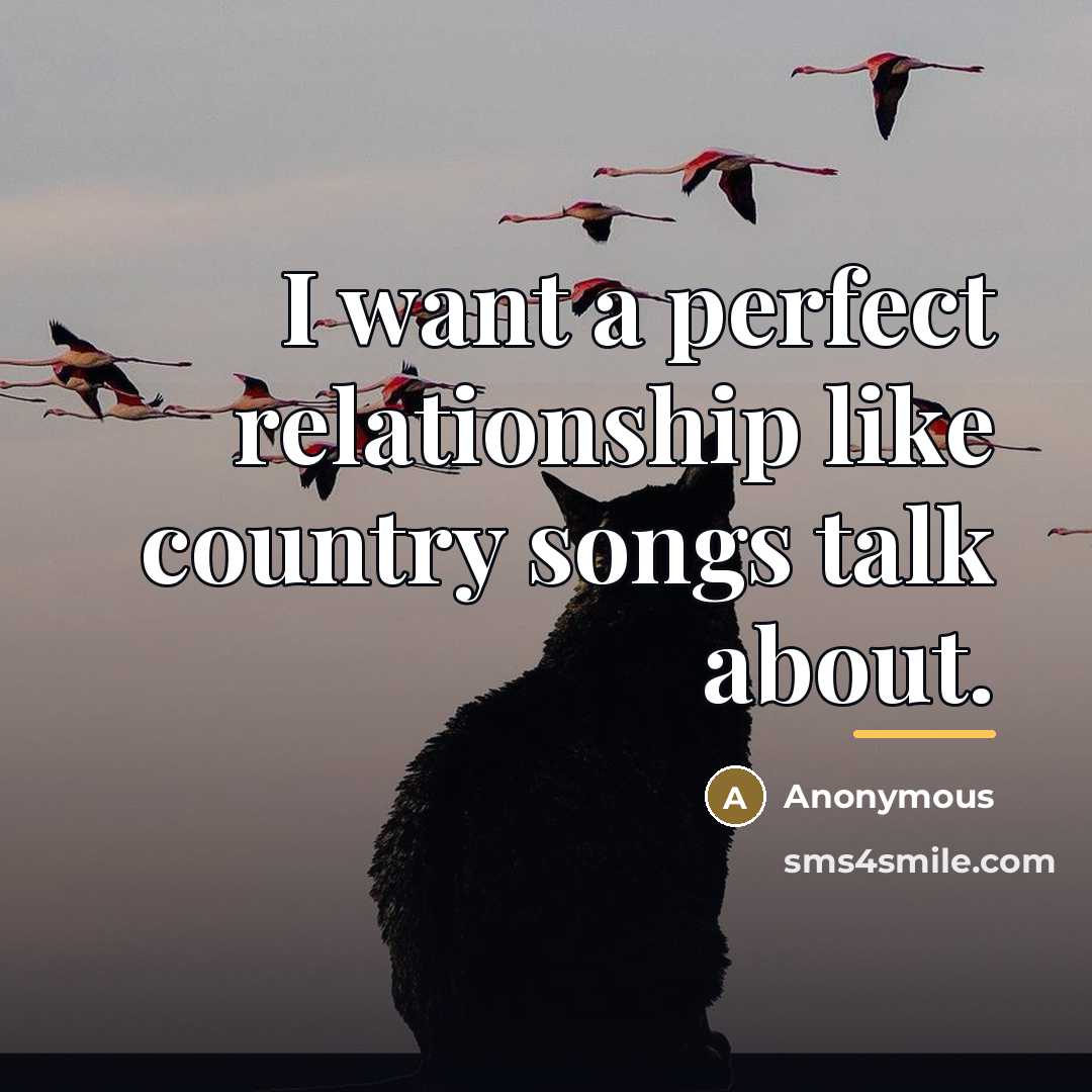 “I want a perfect relationship like country songs talk about.…” quote by Anonymous