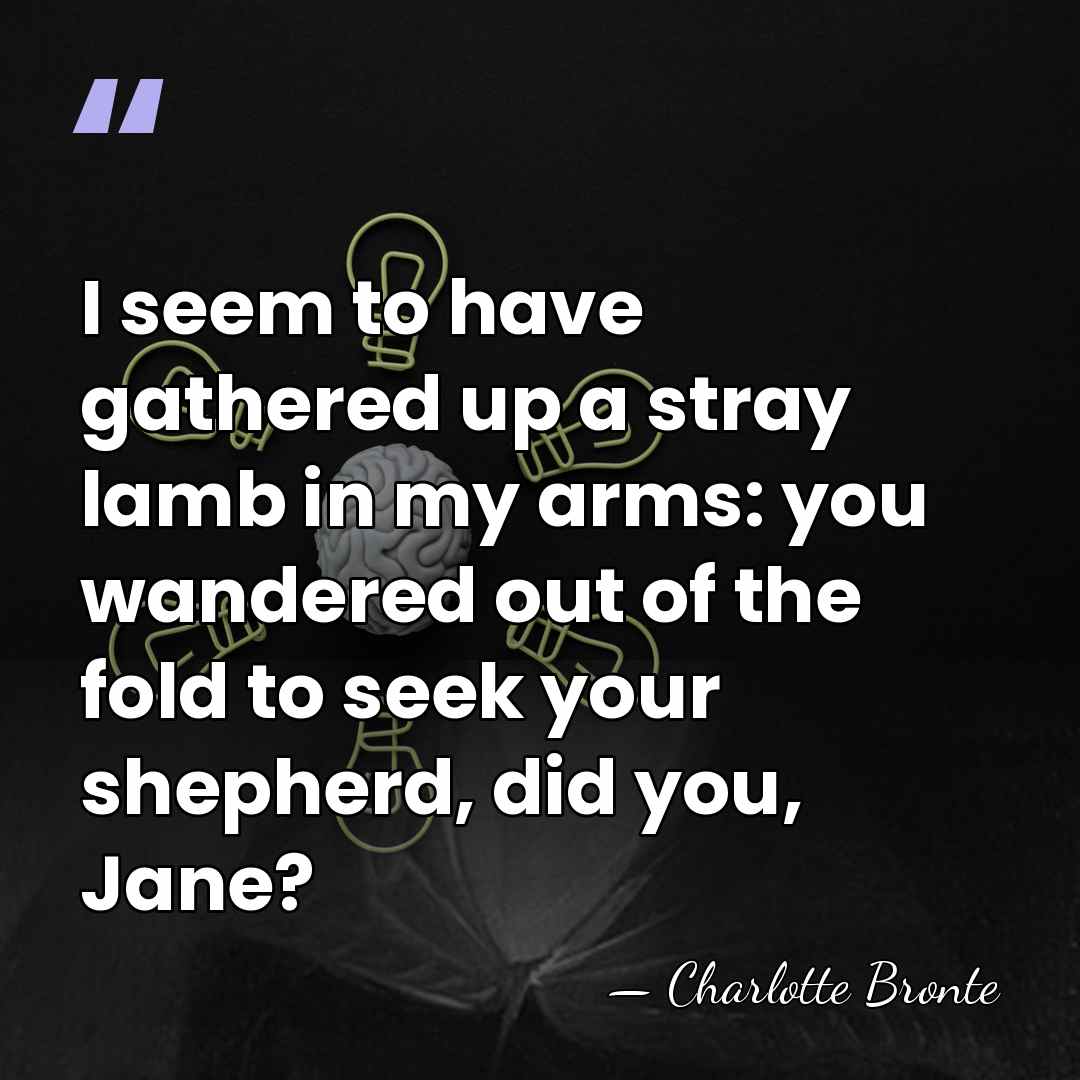 I seem to have gathered up a stray lamb in my arms:&hellip; - Charlotte Bronte