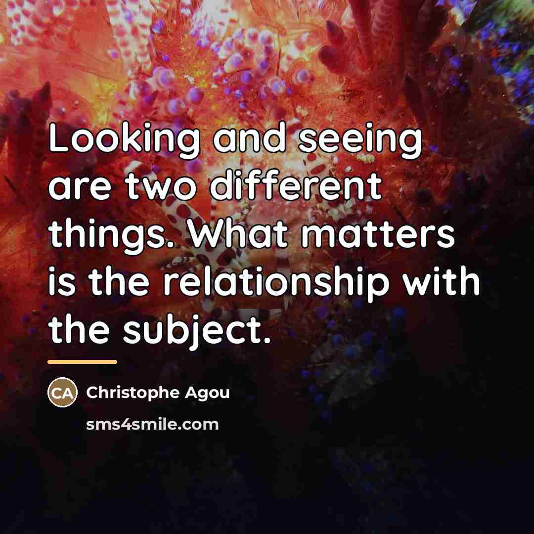 “Looking and seeing are two different things. What matters is…” quote by Christophe Agou