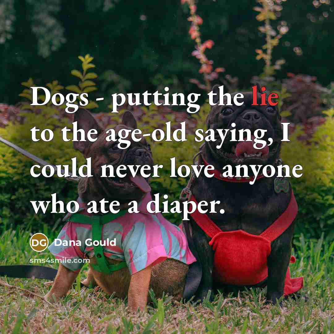 “Dogs - putting the lie to the age-old saying, I…” quote by Dana Gould