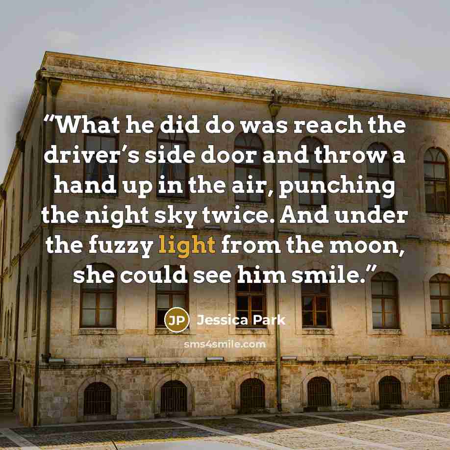 “What he did do was reach the driver’s side door and throw a hand up in the air, punching the night sky twice. And under the fuzzy light from the moon, she could see him smile.” quote by Jessica Park