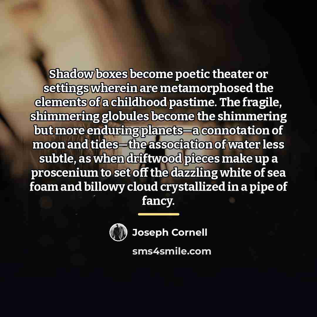“Shadow boxes become poetic theater or settings wherein are metamorphosed…” quote by Joseph Cornell