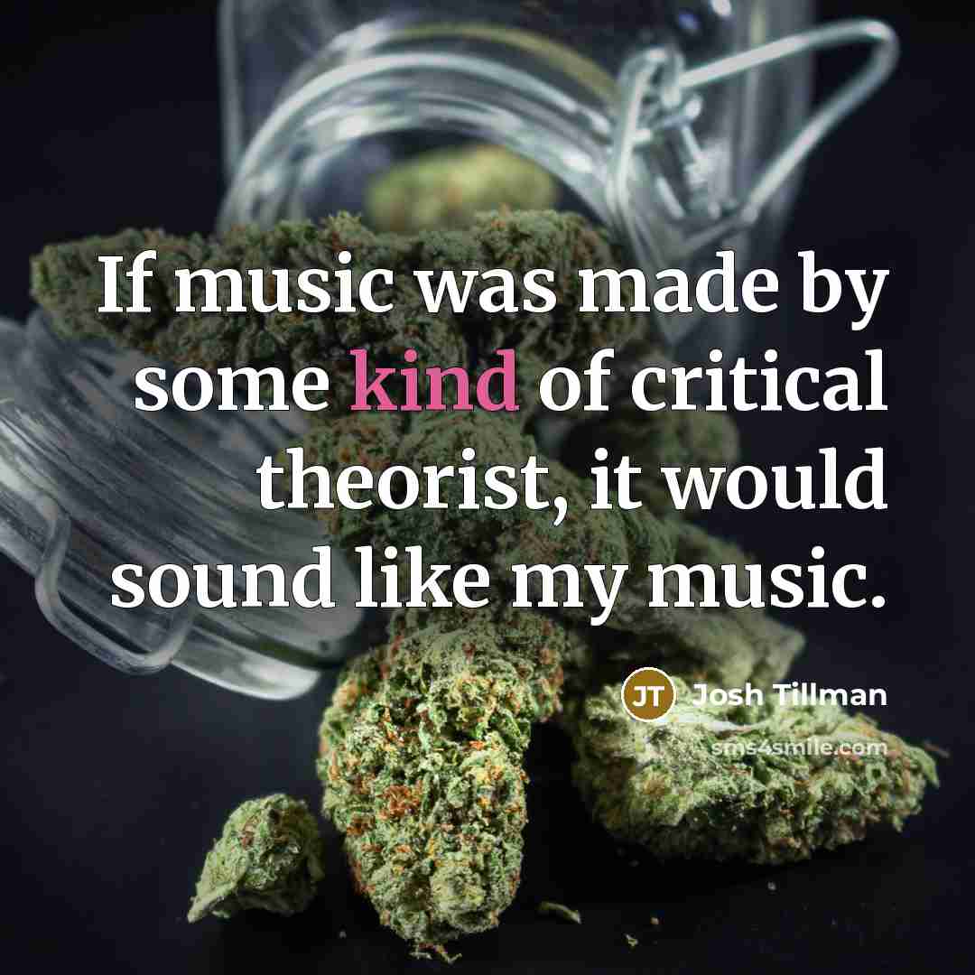“If music was made by some kind of critical theorist,…” quote by Josh Tillman