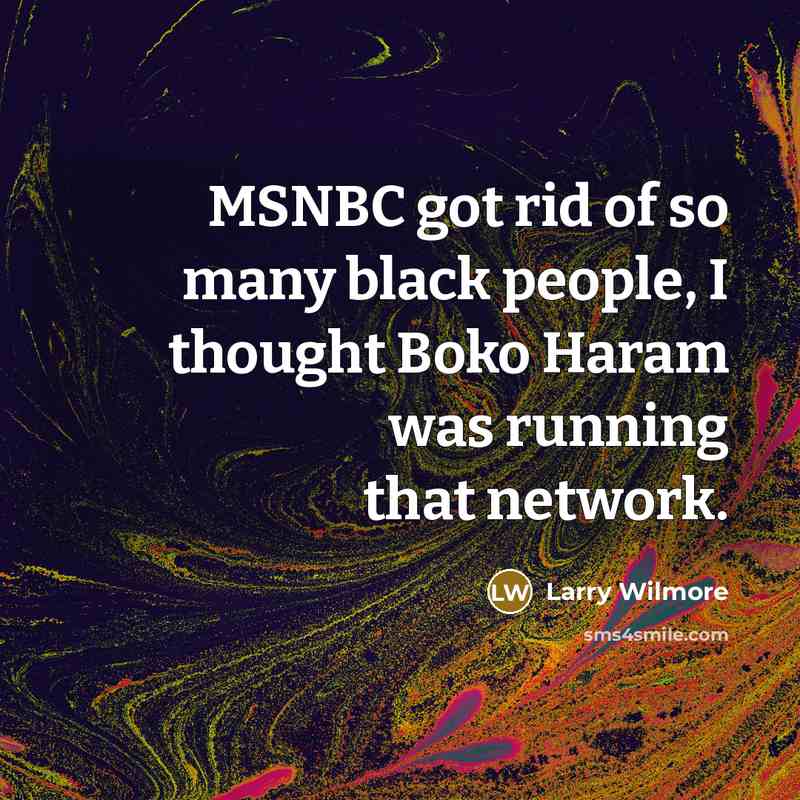“MSNBC got rid of so many black people, I thought…” quote by Larry Wilmore