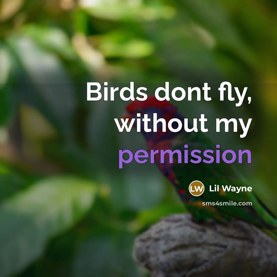 “Birds dont fly, without my permission” quote by Lil Wayne