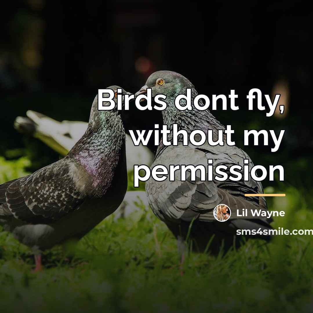 “Birds dont fly, without my permission…” quote by Lil Wayne