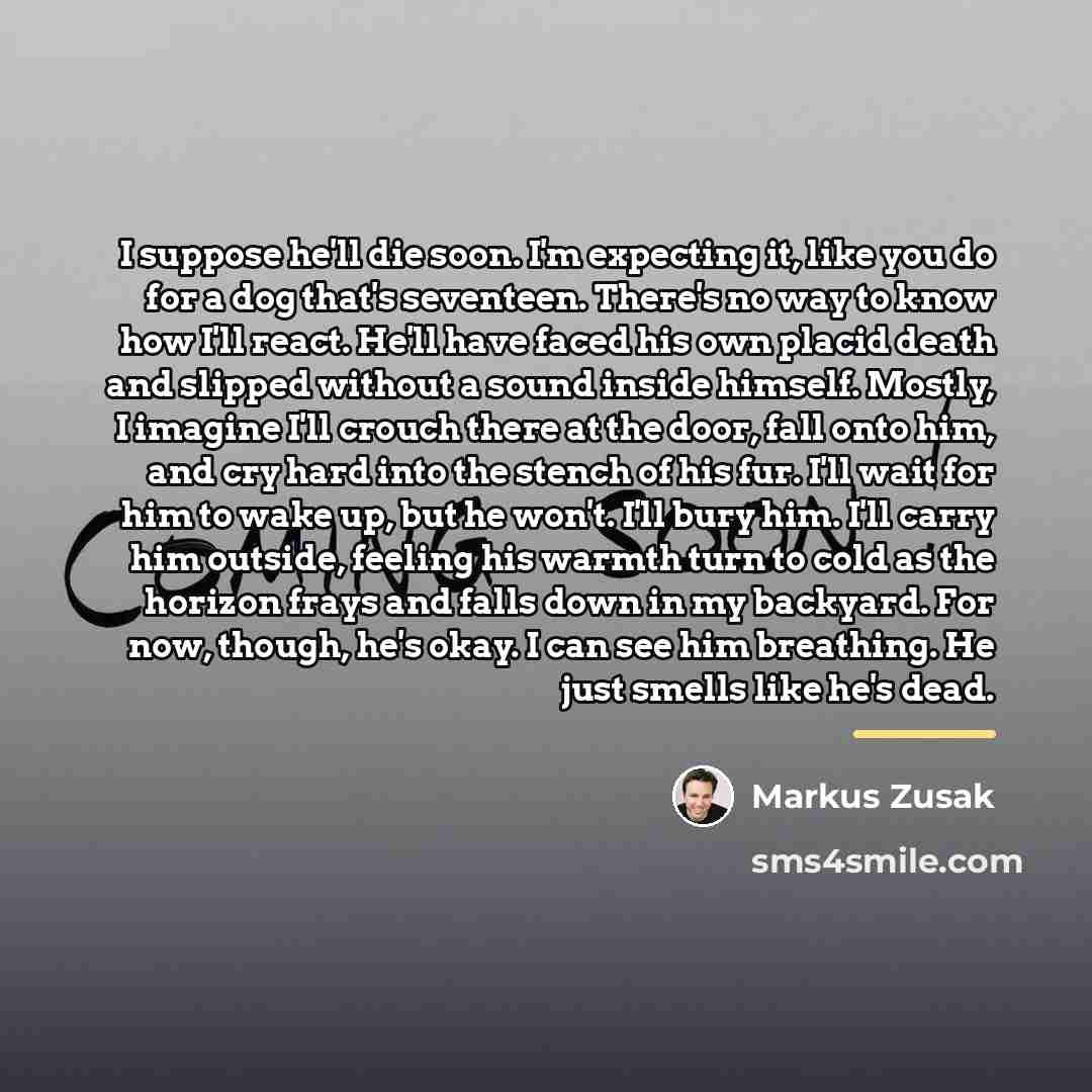 “I suppose he'll die soon. I'm expecting it, like you…” quote by Markus Zusak