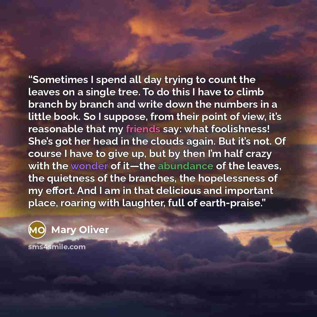“Sometimes I spend all day trying to count the leaves on a single tree. To do this I have to climb branch by branch and write down the numbers in a little book. So I suppose, from their point of view, it’s reasonable that my friends say: what foolishness! She’s got her head in the clouds again. But…” quote by Mary Oliver