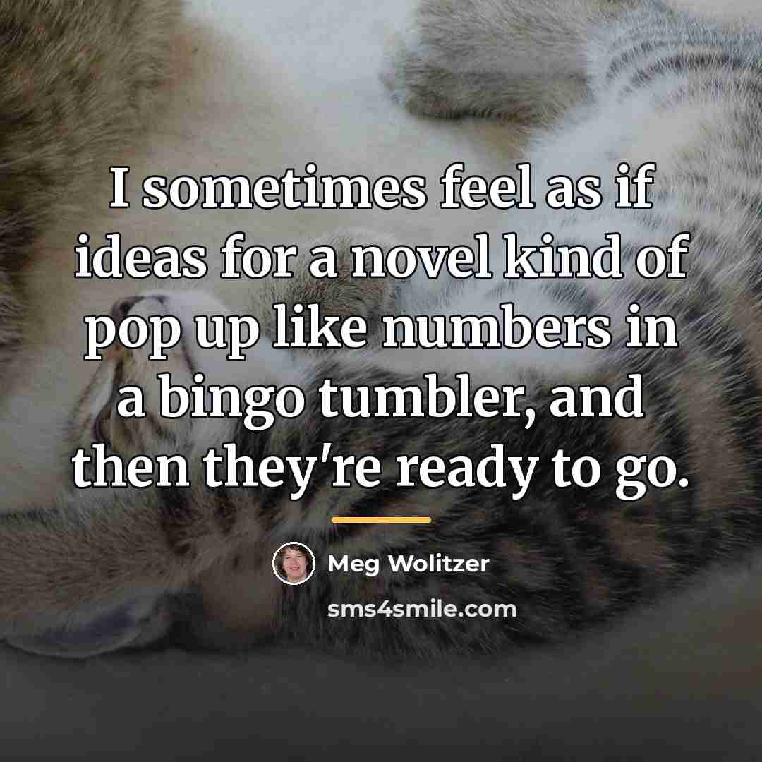 “I sometimes feel as if ideas for a novel kind…” quote by Meg Wolitzer