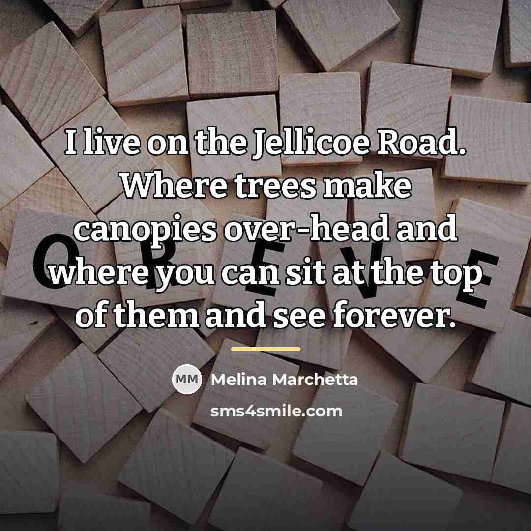 “I live on the Jellicoe Road. Where trees make canopies…” quote by Melina Marchetta