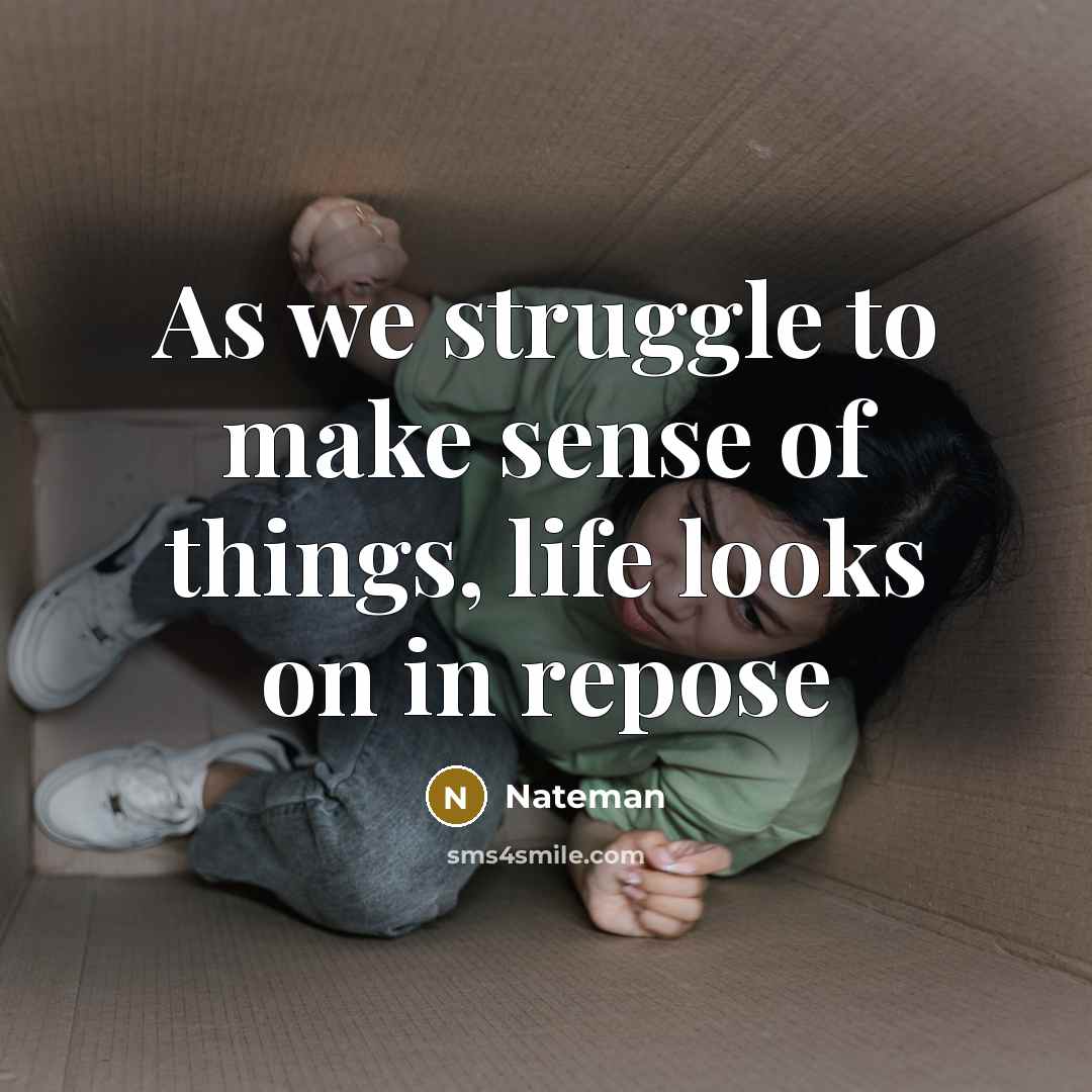 “As we struggle to make sense of things, life looks…” quote by Nateman