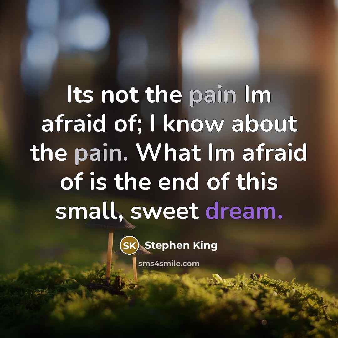 “Its not the pain Im afraid of; I know about…” quote by Stephen King