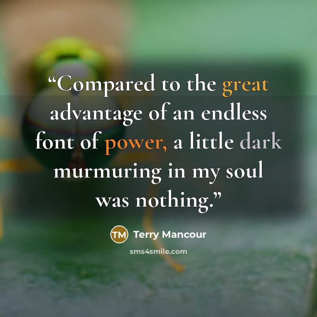 “Compared to the great advantage of an endless font of power, a little dark murmuring in my soul was nothing.” quote by Terry Mancour