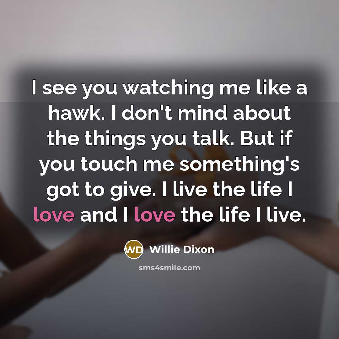 “I see you watching me like a hawk. I don't…” quote by Willie Dixon