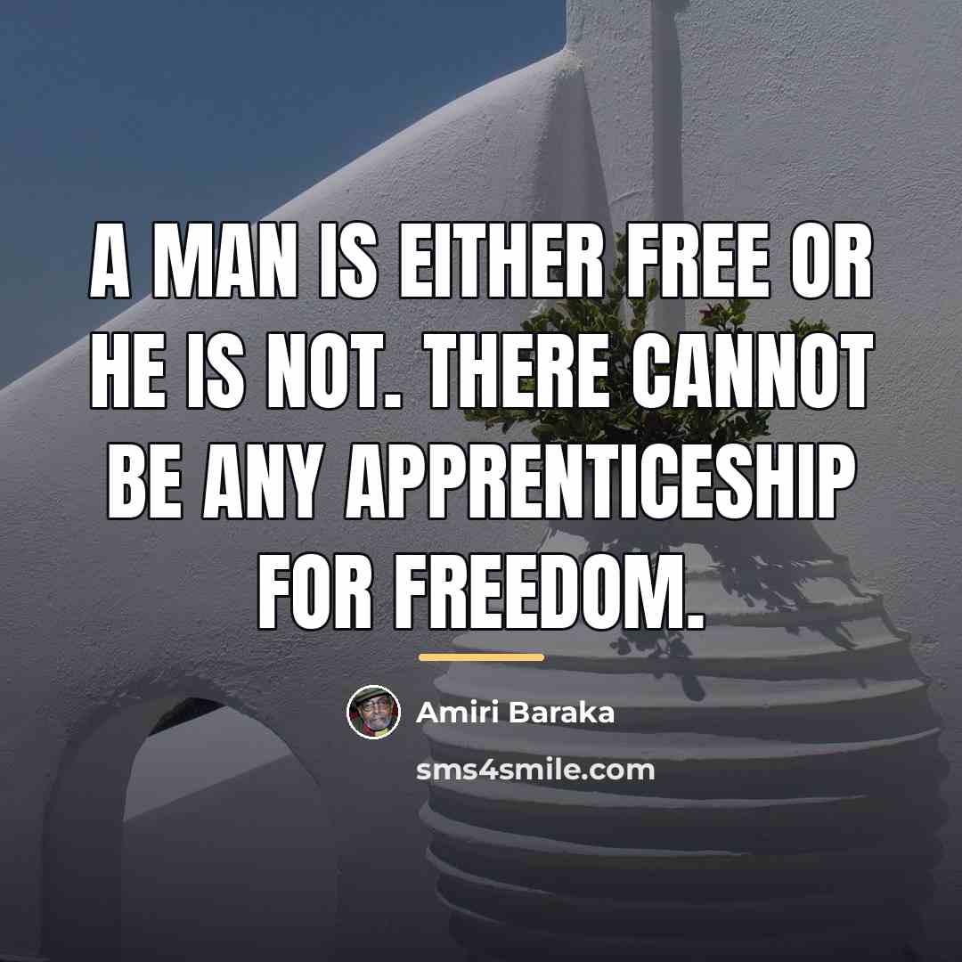 “A man is either free or he is not. There…” quote by Amiri Baraka