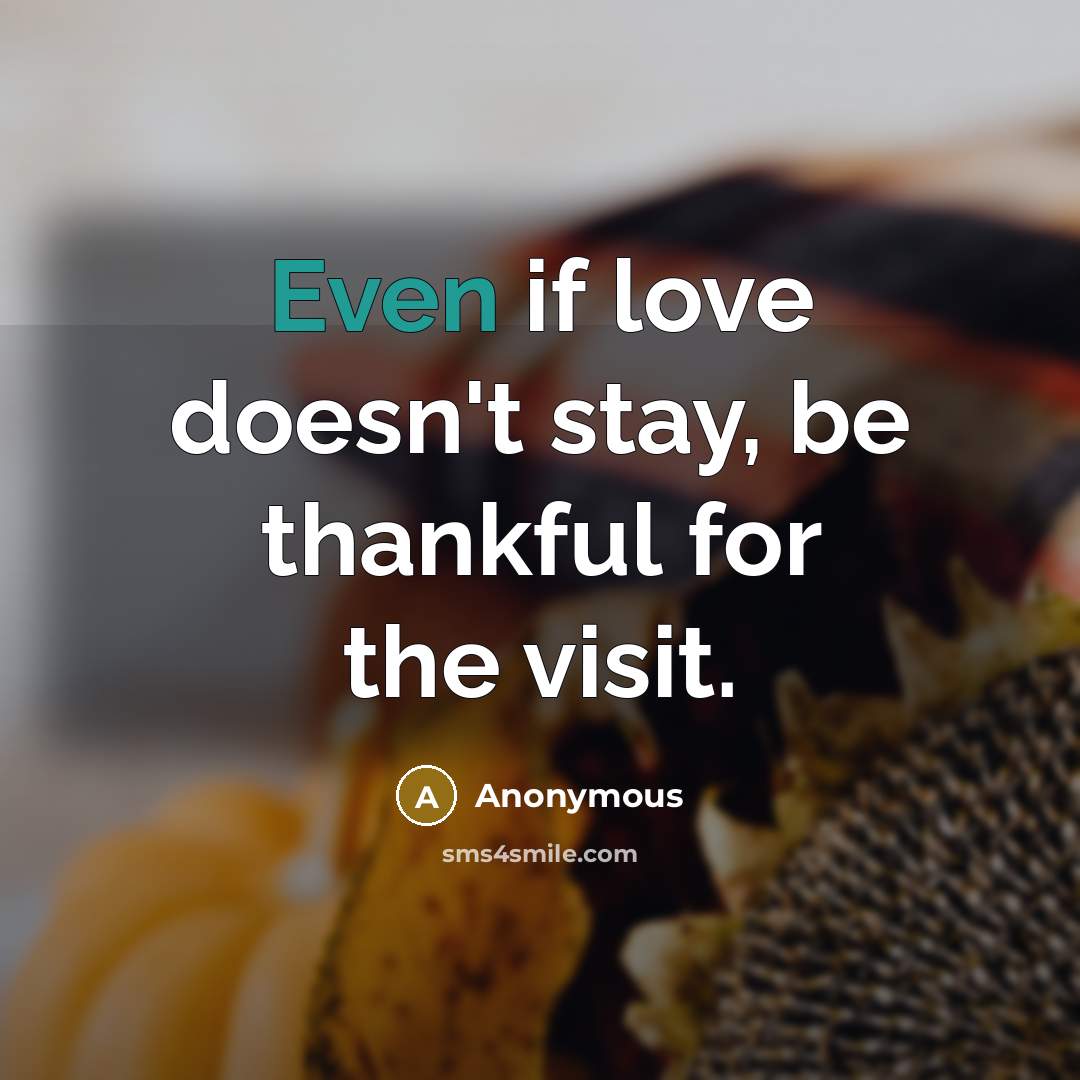 “Even if love doesn't stay, be thankful for the visit.…” quote by Anonymous