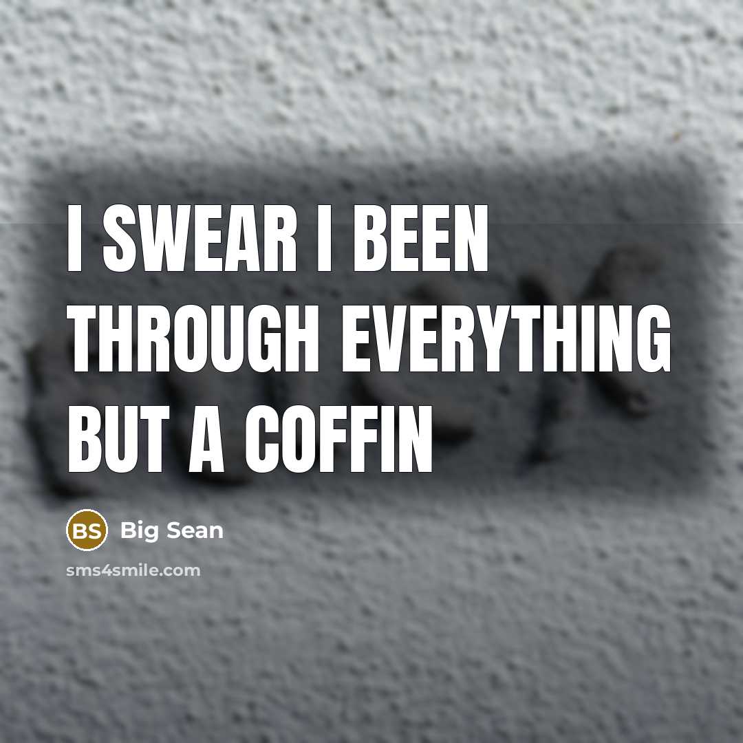 “I swear I been through everything but a coffin…” quote by Big Sean