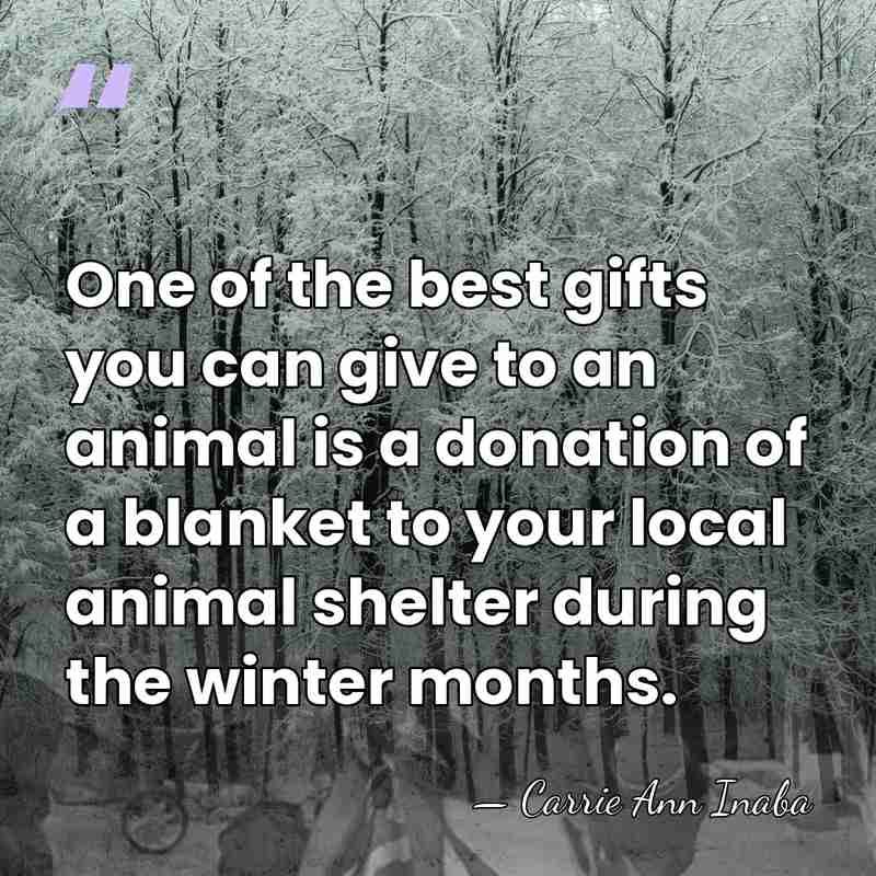One of the best gifts you can give to an animal is&hellip; - Carrie Ann Inaba