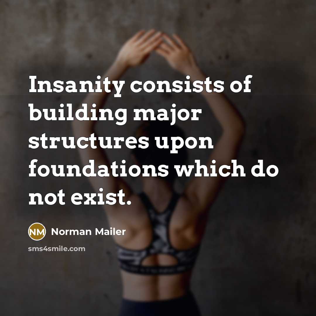“Insanity consists of building major structures upon foundations which do…” quote by Norman Mailer