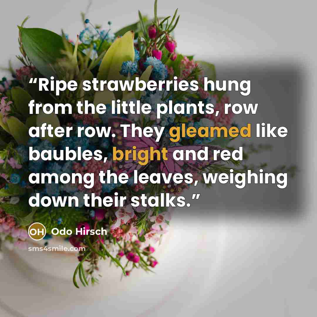 “Ripe strawberries hung from the little plants, row after row. They gleamed like baubles, bright and red among the leaves, weighing down their stalks.” quote by Odo Hirsch