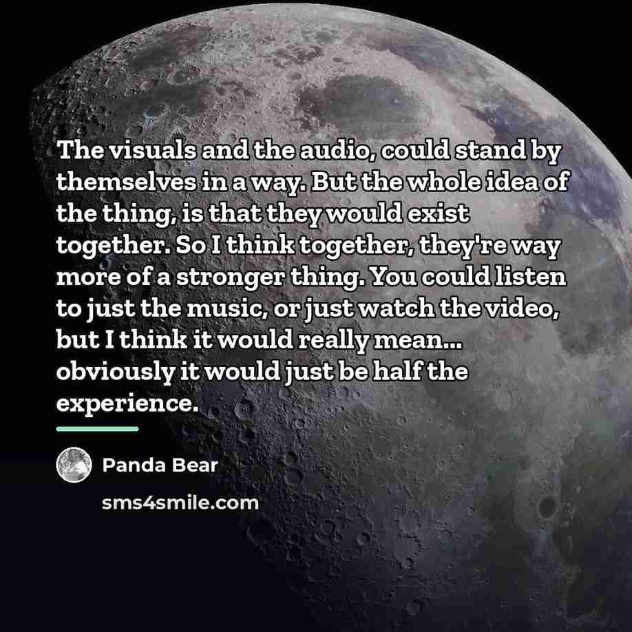 “The visuals and the audio, could stand by themselves in…” quote by Panda Bear