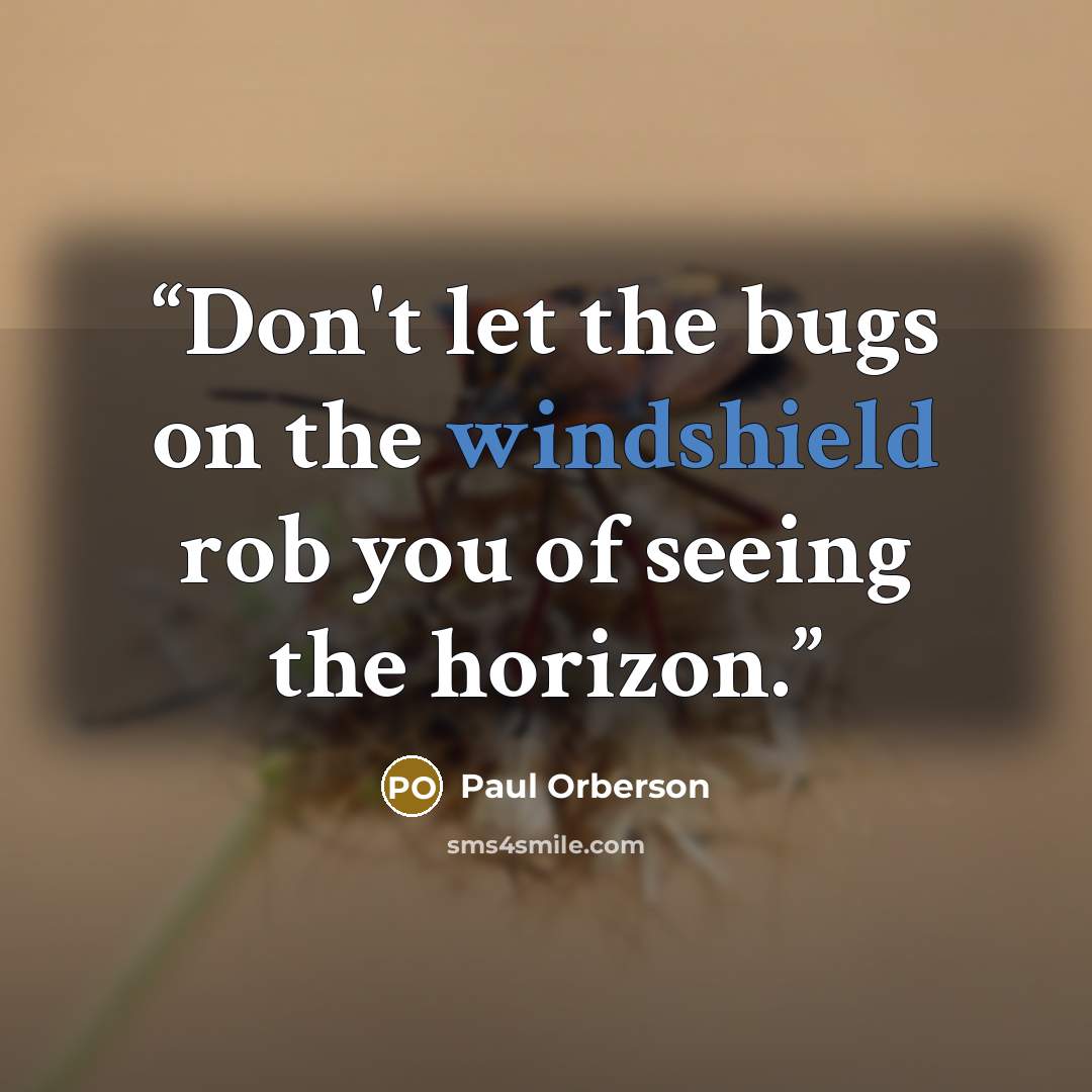 “Don't let the bugs on the windshield rob you of seeing the horizon.” quote by Paul Orberson