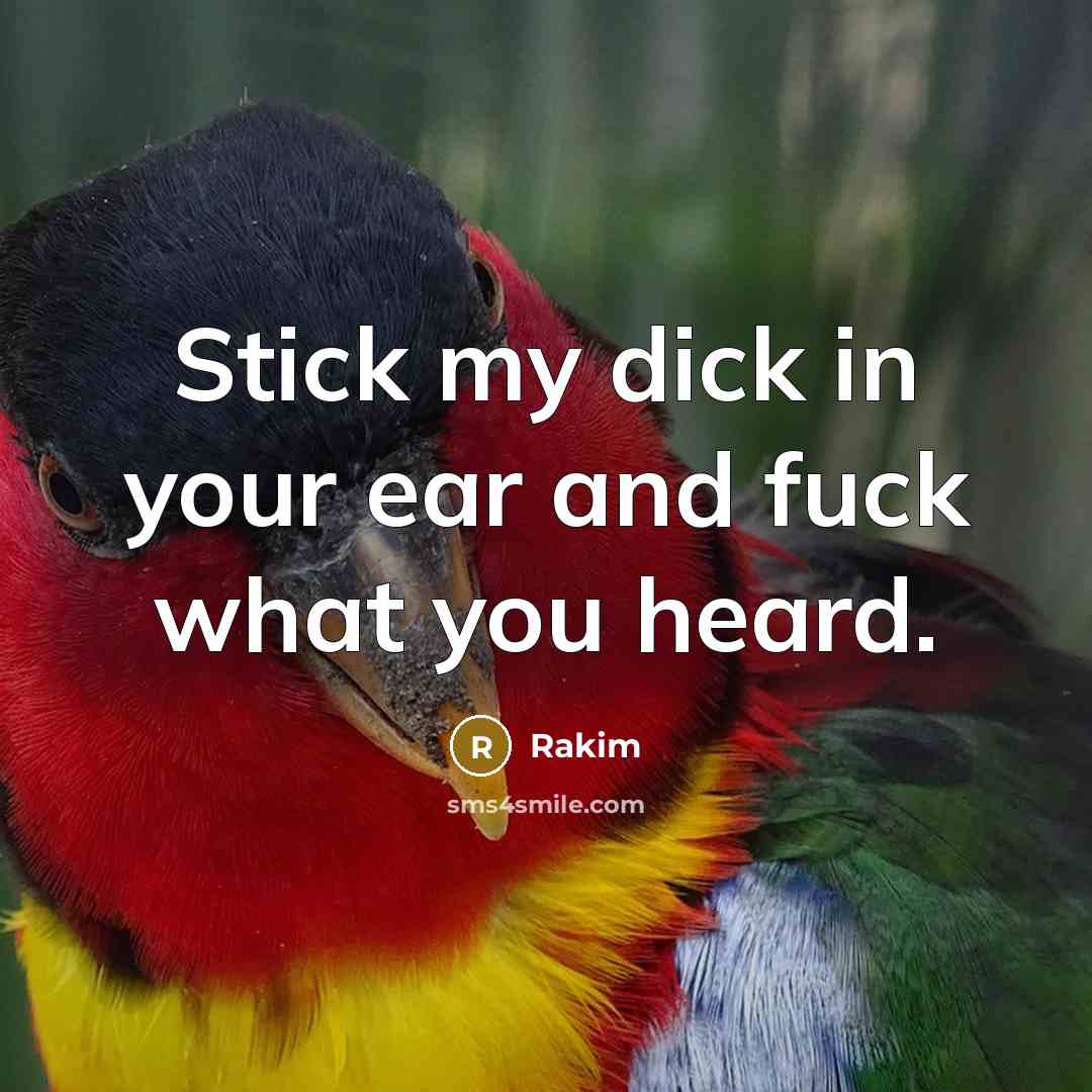 “Stick my dick in your ear and fuck what you heard.” quote by Rakim
