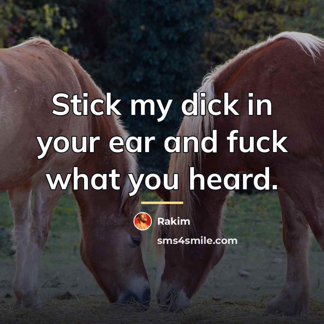 “Stick my dick in your ear and fuck what you…” quote by Rakim