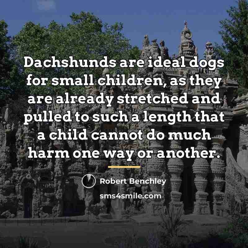 “Dachshunds are ideal dogs for small children, as they are…” quote by Robert Benchley