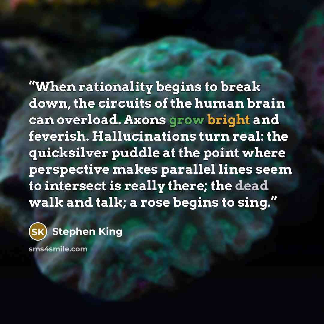 “When rationality begins to break down, the circuits of the human brain can overload. Axons grow bright and feverish. Hallucinations turn real: the quicksilver puddle at the point where perspective makes parallel lines seem to intersect is really there; the dead walk and talk; a rose begins to sing.” quote by Stephen King