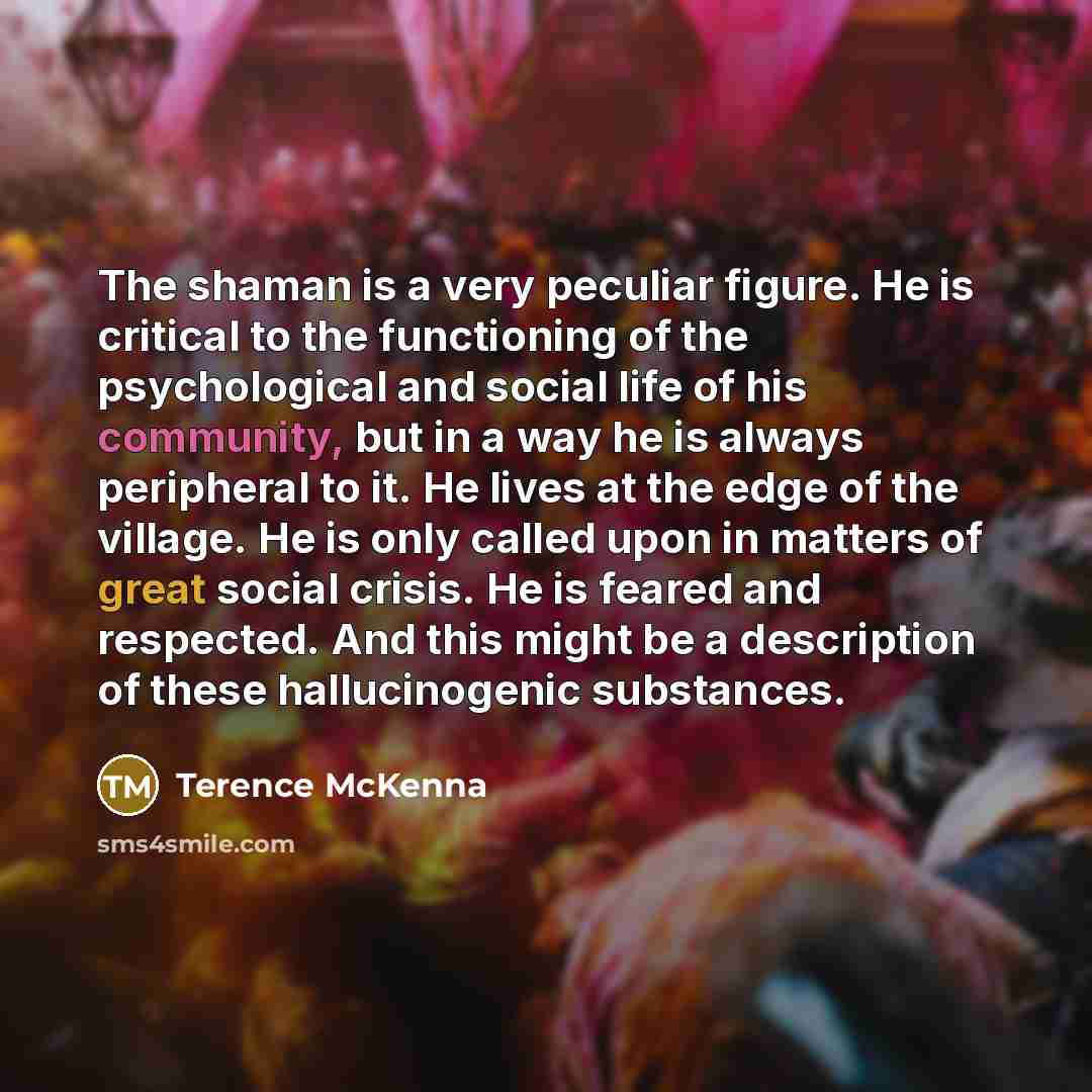 “The shaman is a very peculiar figure. He is critical…” quote by Terence McKenna