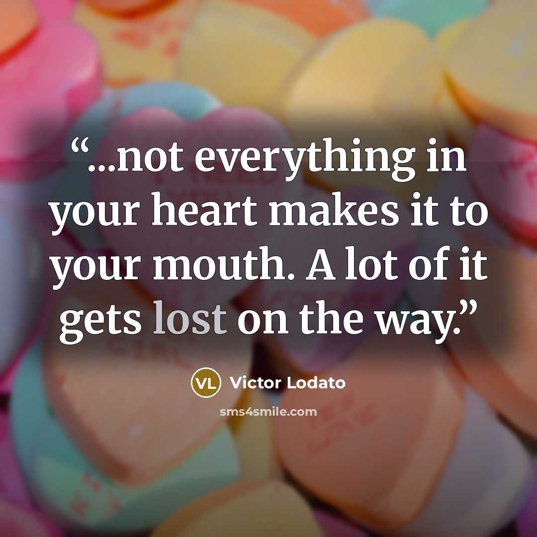 “...not everything in your heart makes it to your mouth. A lot of it gets lost on the way.” quote by Victor Lodato