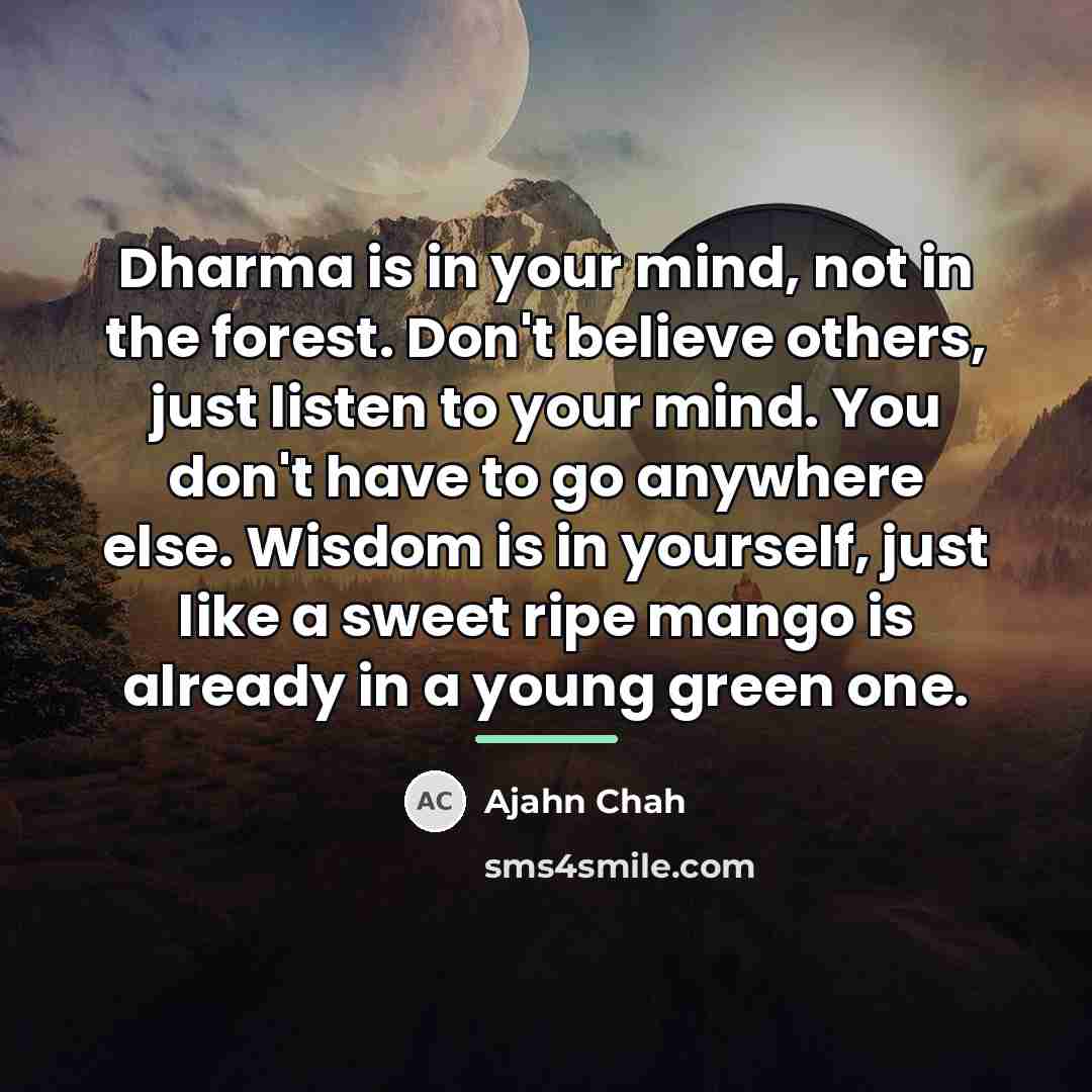 “Dharma is in your mind, not in the forest. Don't…” quote by Ajahn Chah