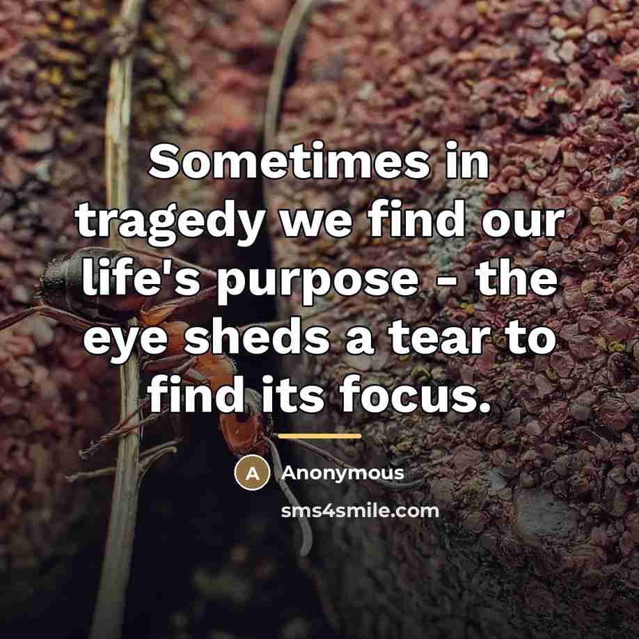 “Sometimes in tragedy we find our life's purpose - the…” quote by Anonymous