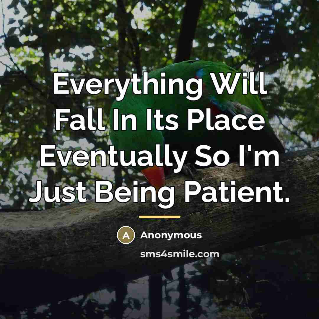 “Everything Will Fall In Its Place Eventually So I'm Just…” quote by Anonymous