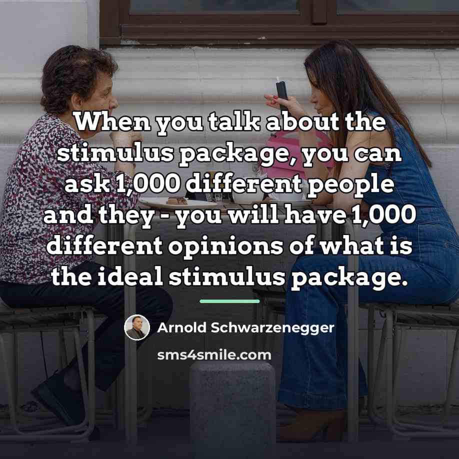 “When you talk about the stimulus package, you can ask…” quote by Arnold Schwarzenegger