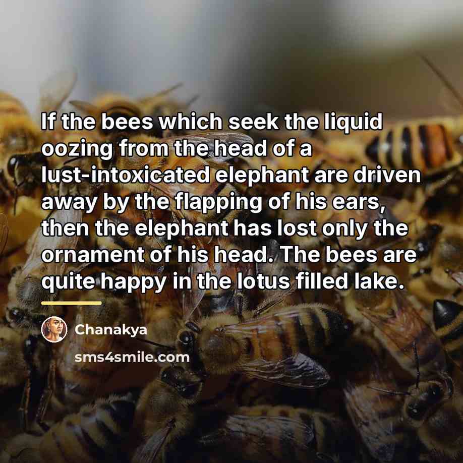 “If the bees which seek the liquid oozing from the…” quote by Chanakya