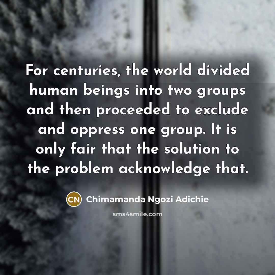 “For centuries, the world divided human beings into two groups…” quote by Chimamanda Ngozi Adichie