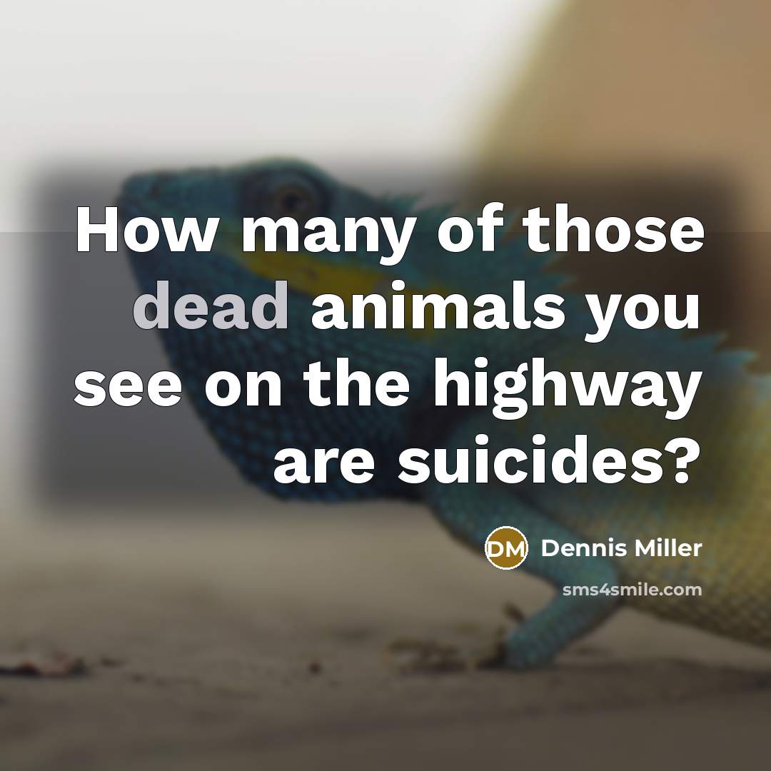 “How many of those dead animals you see on the…” quote by Dennis Miller