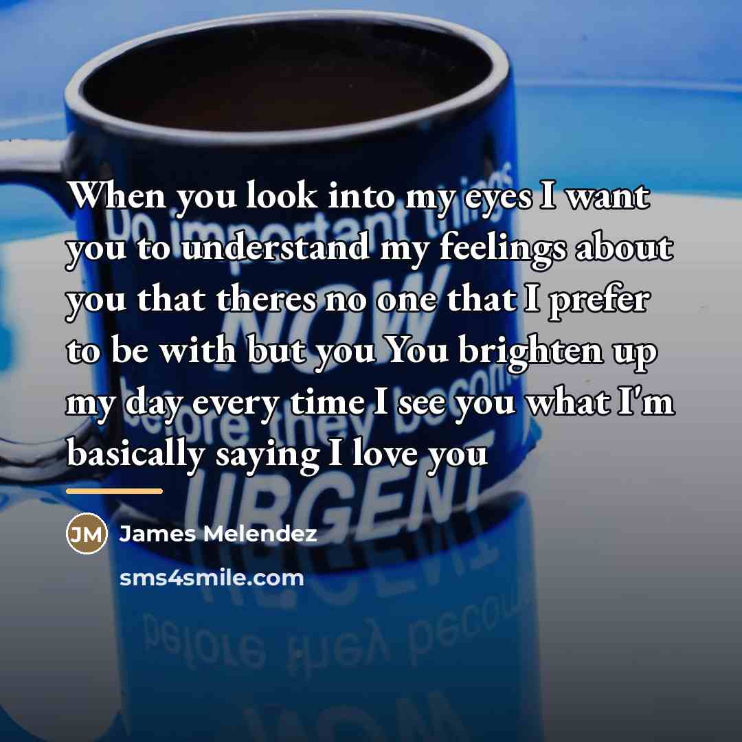 “When you look into my eyes I want you to…” quote by James Melendez