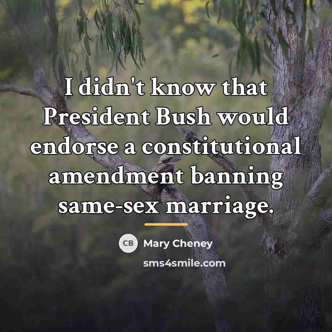 “I didn't know that President Bush would endorse a constitutional…” quote by Mary Cheney